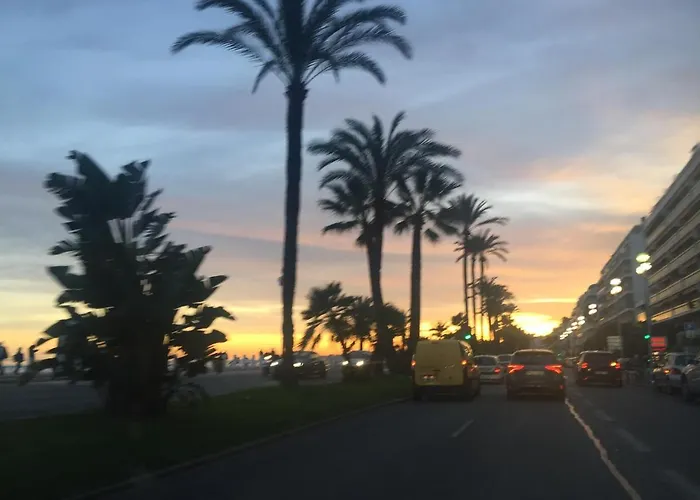 Apartment A 2 Pas De La Promenade Des *