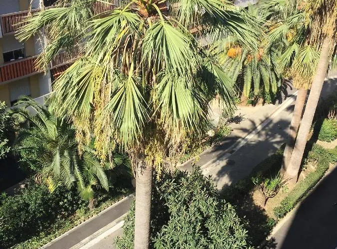 A 2 Pas De La Promenade Des Apartment